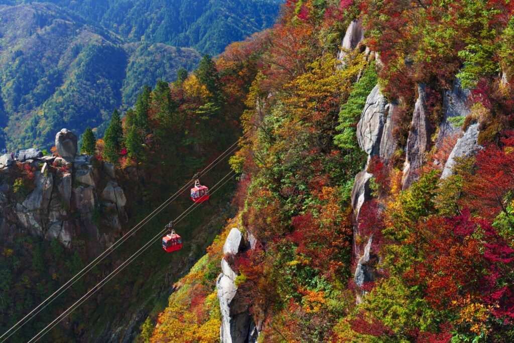 湯の山温泉ロープウェイの見どころ