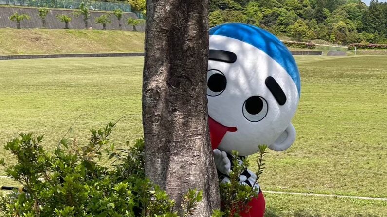 こにゅうどうくん
