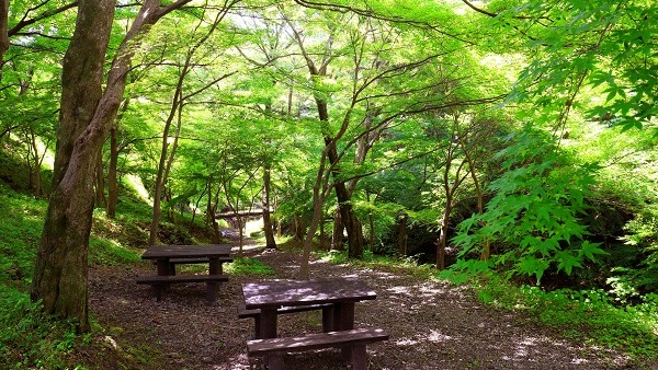 水沢もみじ谷