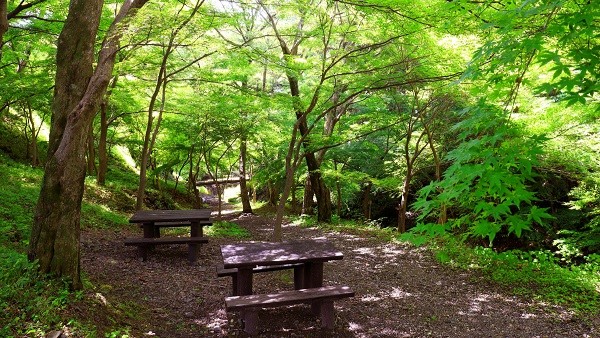 夏の水沢もみじ谷