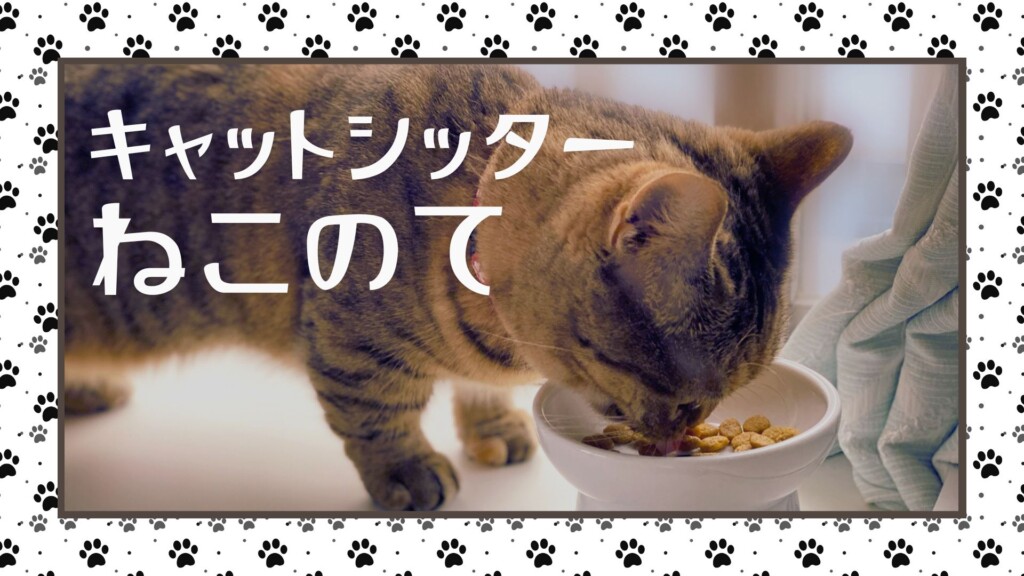 ャットシッターねこのて